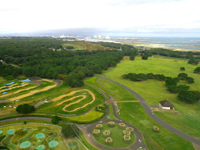 国営ひたち海浜公園の完全ガイド～ネモフィラ・コキア以外の魅力もたっぷり紹介～