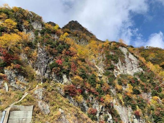 見渡す限り絶景の連続　立山黒部アルペンルート