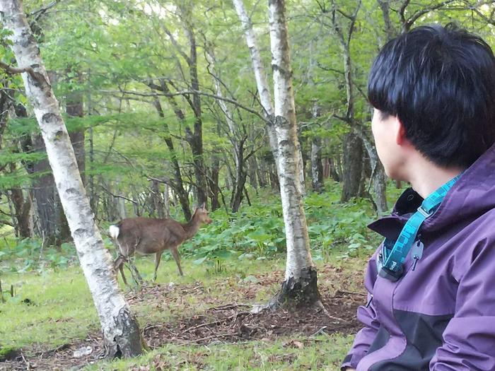 【岩稜登山】山梨の「乾徳山」山頂から360度のパノラマと岩登り体験