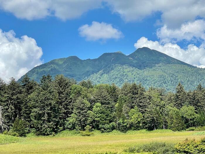 ゆっくりと静かな時間が流れる秋（8月下旬）の尾瀬