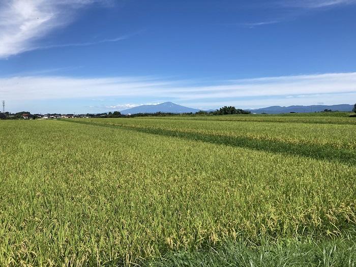 【やまがた出羽百観音】庄内三十三観音　山岳信仰の聖地と豊かな食・土地の恵み