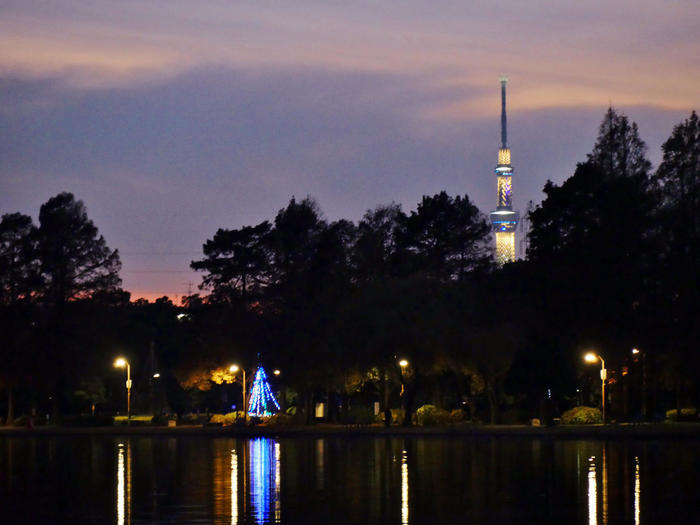 劇的な紅色に染まる葉と花、空。 晩秋・初冬は葛飾区水元公園に行こう！