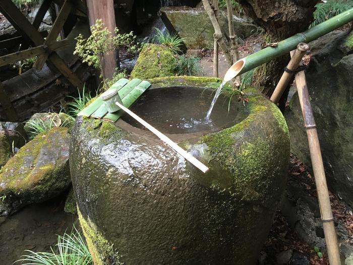 【西多摩・秋川】がおすすめ「東京にまだこんな素敵な場所があったなんて・・・」