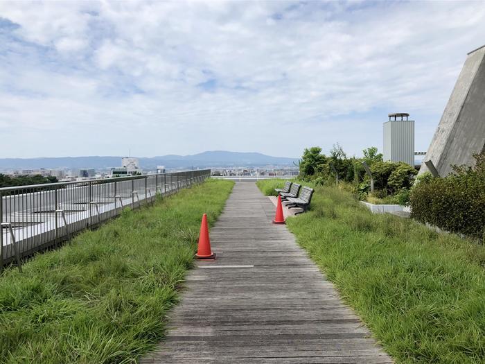 【超穴場】奈良県庁の屋上展望台は360度の大パノラマ