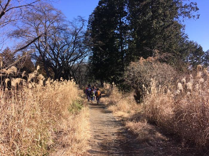 【山登り道】冬山にはなぜ魅力があるのか？＜景信山～城山～高尾山編＞