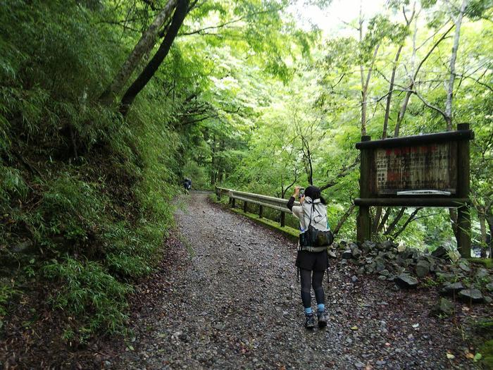 【真夏の低山登山】夏におすすめ！涼を求めて西丹沢・畦ヶ丸山を歩く