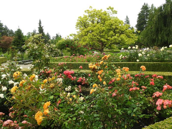 イギリスの季節の花々の織りなす絶景を楽しもう！