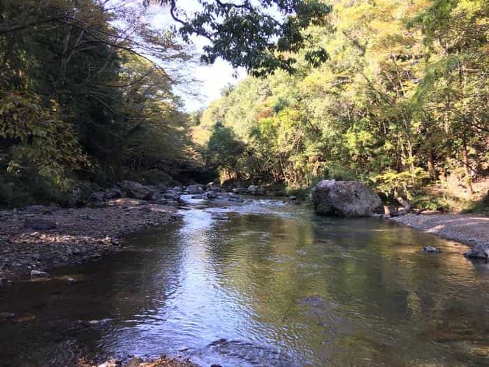 【埼玉県】飯能ハイキング・初心者向けコース（天覧山・多峯主山）