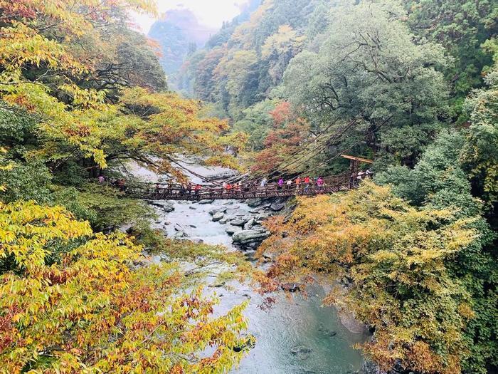 日本三大秘境「祖谷（いや）」で大歩危峡の絶景とかずら橋のスリルを体験！