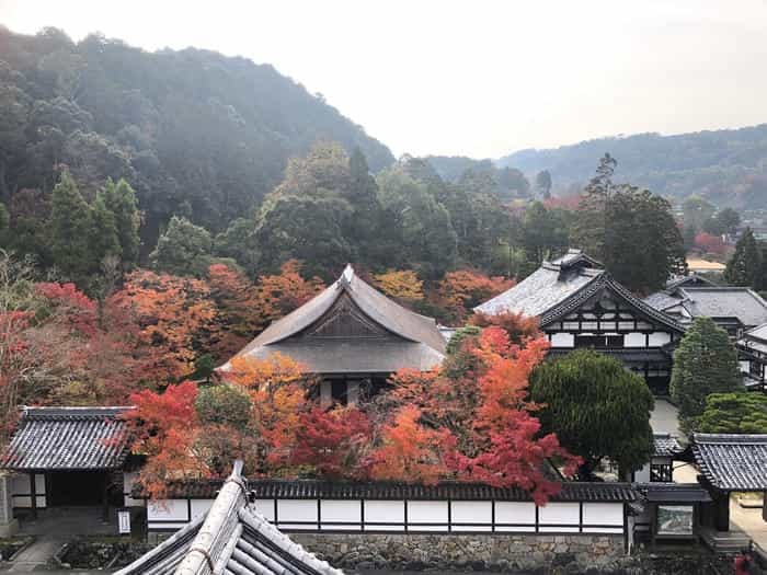 紅葉に食べられそう...秋の京都「南禅寺」と「永観堂」は素晴らしかった！