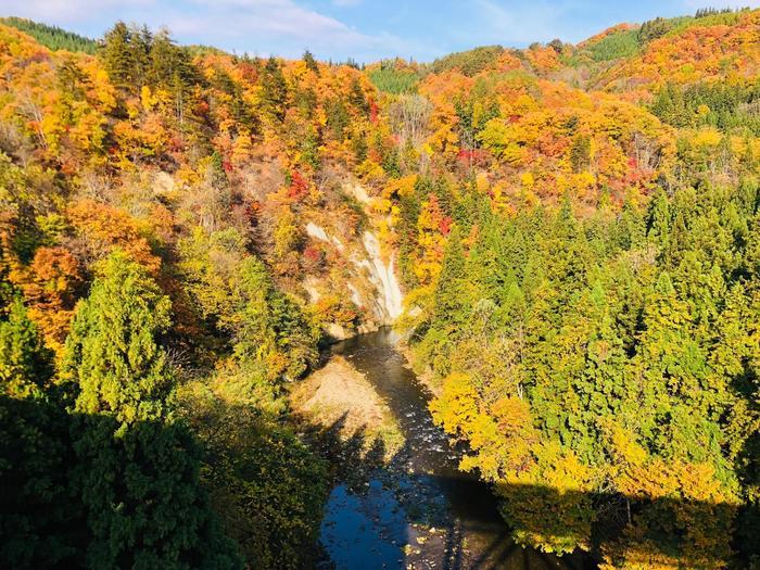 日光・高尾山・奥只見ローカル列車と日本ロマンチック街道を巡る旅