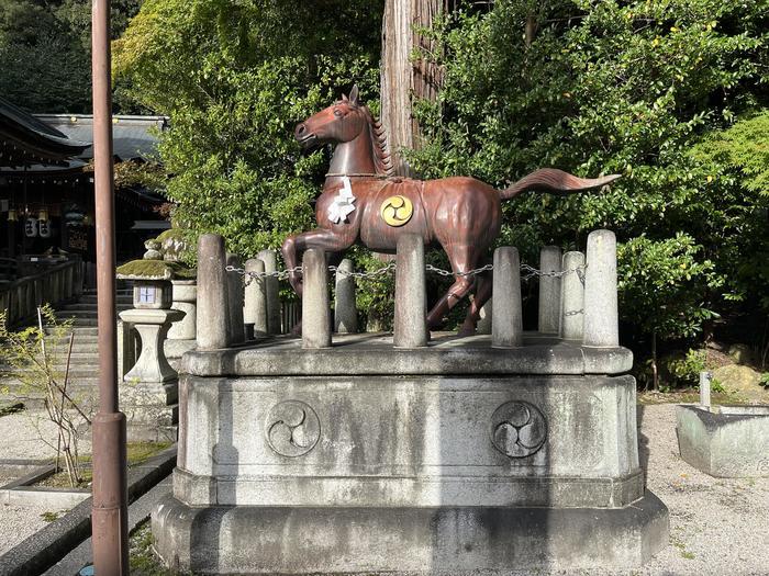 水郷めぐりと八幡山！近江八幡王道の見どころを散策！