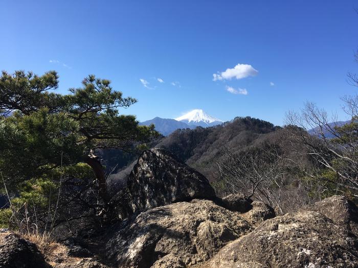 【冬の低山】秀麗富嶽十二景「九鬼山（970ｍ）」のおすすめポイント