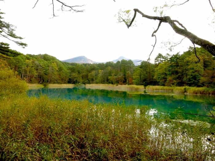 「五色沼湖沼群」散策のススメ！ 福島県裏磐梯の神秘の地を完全攻略