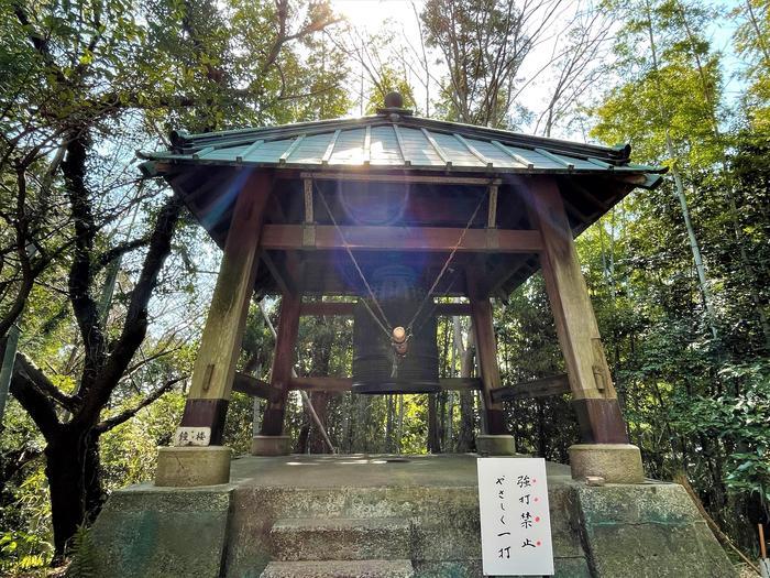 【富士山と花の眺望】30分のお手軽ハイキングと寄り道スポット