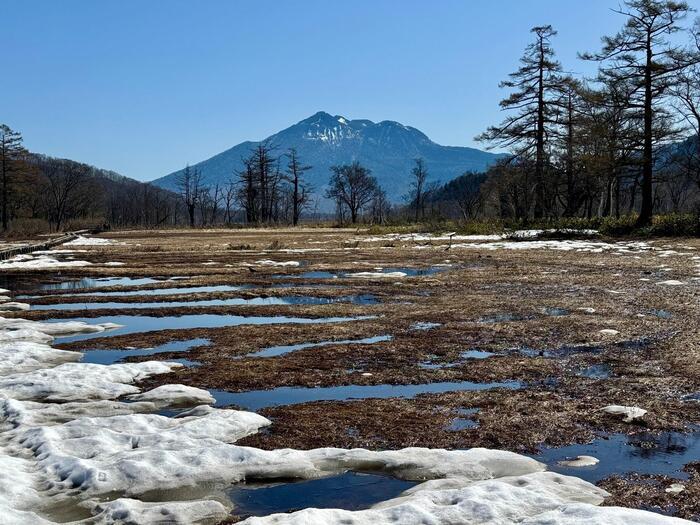 7回目の尾瀬はゴールデンウイーク後半に（群馬・福島）お疲れ様でした！