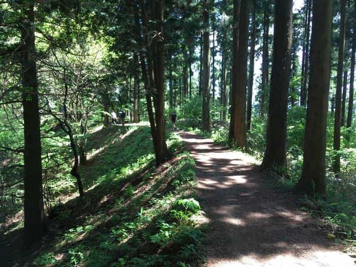 【山登り道】～低山には低山の魅力があるのです③～「奥高尾/陣馬山・景信山」