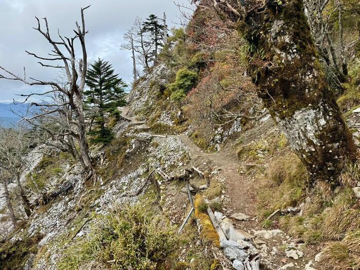 【日本百名山】23座目は天空の絶景ロードを見たくて剣山へ（徳島県）