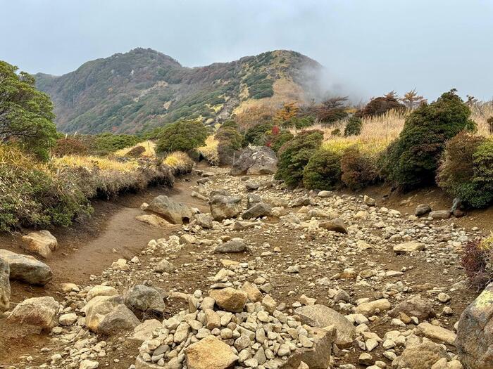 【日本百名山】26座目は摩訶不思議な世界が広がる久住山（大分県）