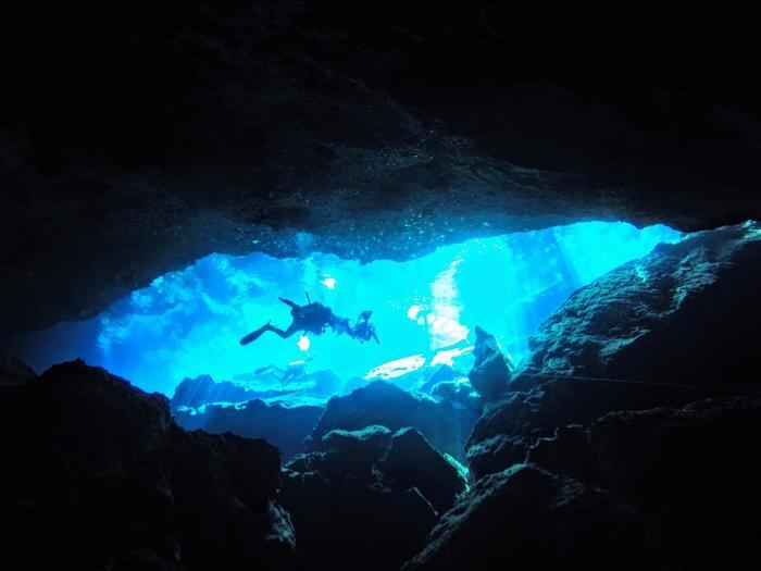 【メキシコ】一生に一度は行きたい世界の絶景!ダイバーの聖地、透明度抜群のセノーテダイビング!