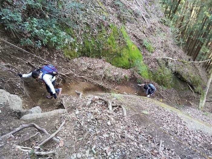 【お花見登山】桜満開のお伊勢山から岩殿山を縦走する日帰り山旅