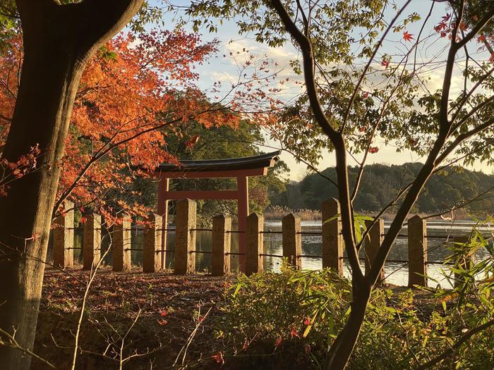 まだまだ見所たくさん！福岡県・大分県ぐるっと秘境を巡る旅