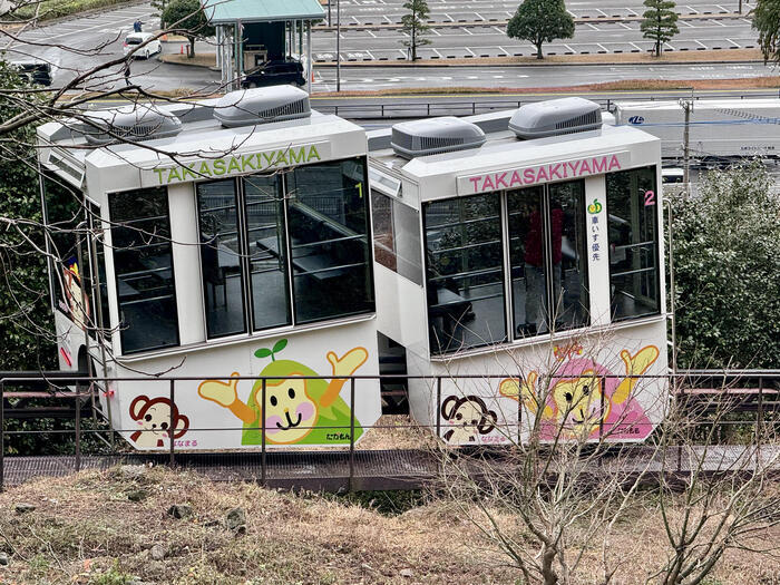 【大分】おサルさんの聖地でこんにちは！高崎山自然動物園