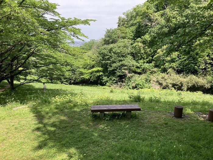 【八王子】とても公園とは思えない、しっかり山歩きを楽しめる「長沼公園」を歩く