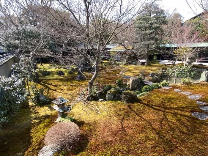 生誕500年 千利休をめぐる京の旅