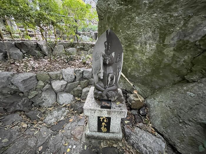 【徳島】猫神様に合格祈願！？「お松大権現」は猫好き必訪のパワースポット