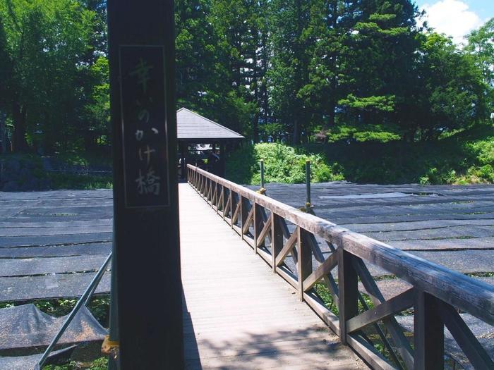 安曇野の大王わさび農場で絶景を楽しもう! おすすめのお土産もご紹介