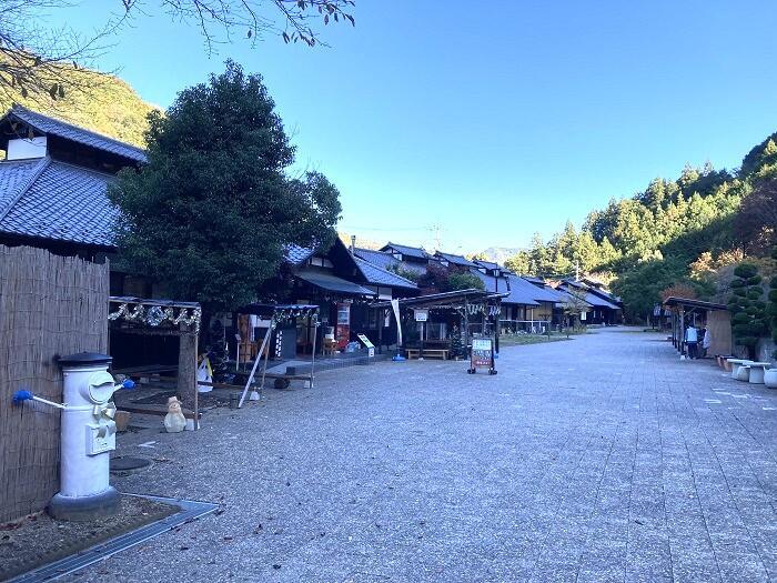 【群馬・藤岡】紅葉と桜を一度に楽しめる桜山公園とみかん狩りと藍染体験