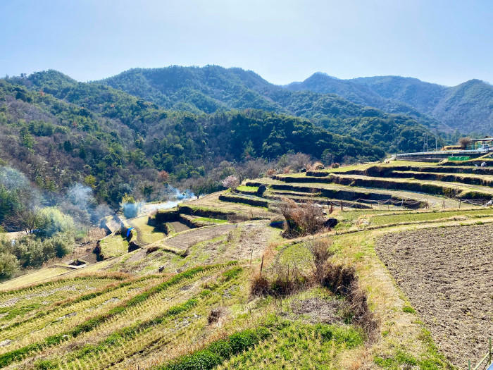 【2022年】香川県のオリーブの楽園 「小豆島」へ！