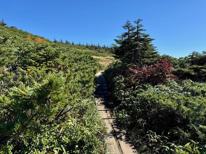 【日本百名山】22座目は西吾妻山...初級者向け？いえいえ結構大変な山でした（山形県・福島県）humb-700xauto-321346.jpg