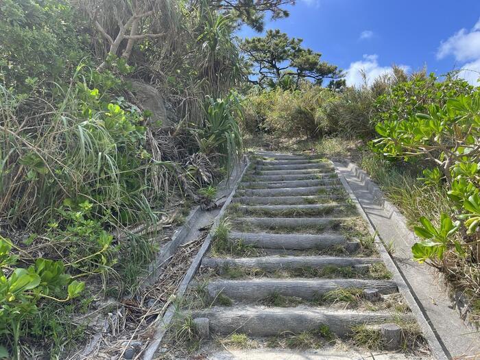 【沖縄】ケラマブルーで有名な渡嘉敷島の見どころと名店を紹介