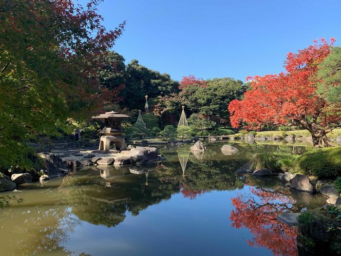 洋風と和風両方の庭園が楽しめる【旧古河庭園】秋バラ・紅葉もおすすめ！～東京さんぽ～