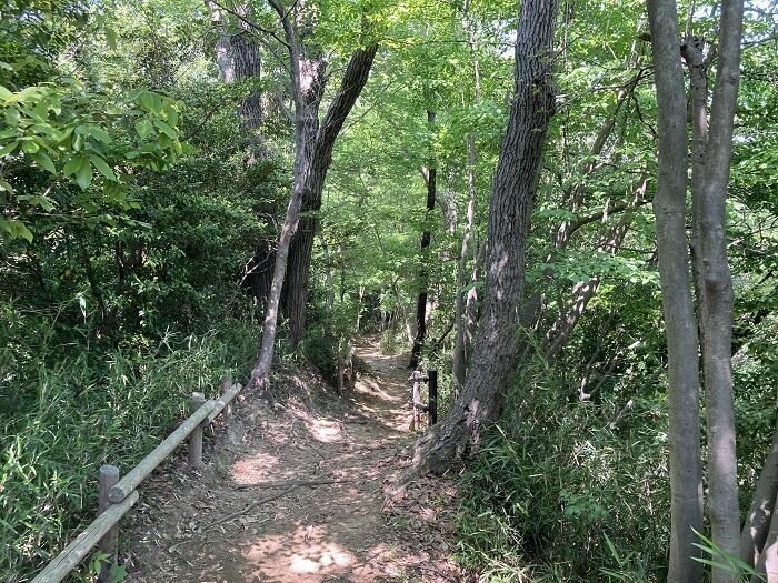 【八王子】とても公園とは思えない、しっかり山歩きを楽しめる「長沼公園」を歩く