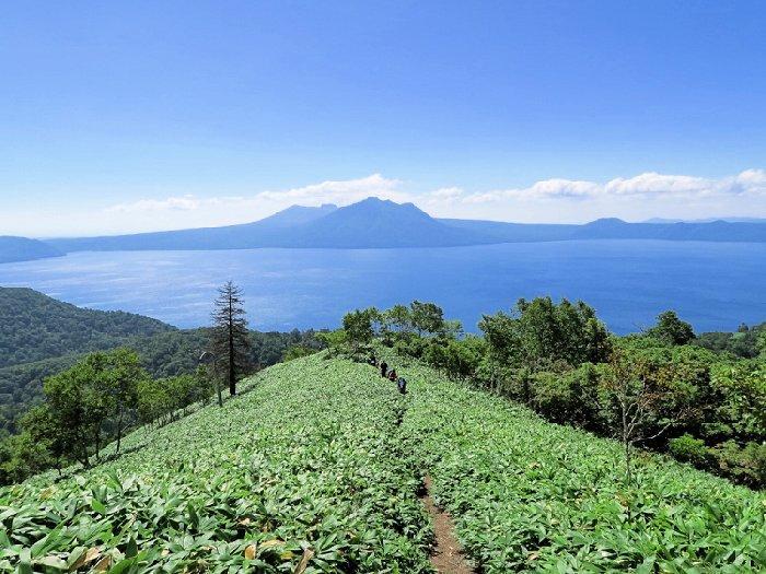 北海道・支笏湖畔のイチャンコッペ山は登山初心者におすすめ！