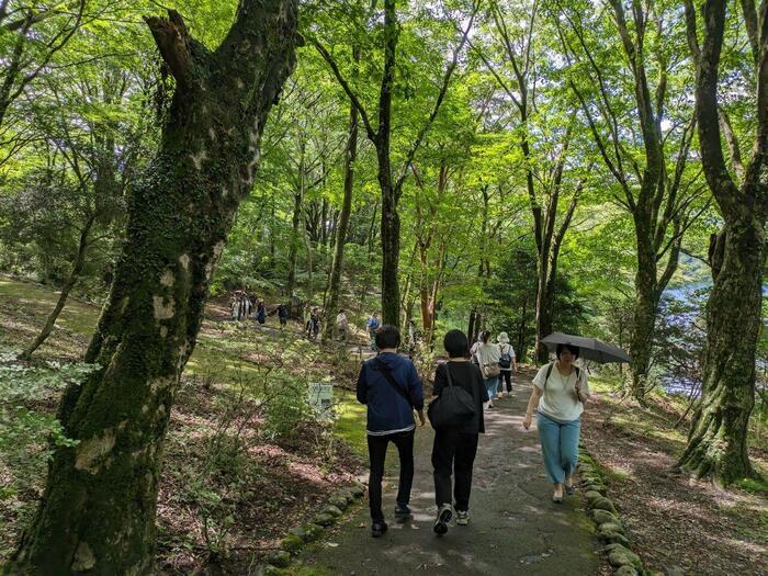 【神奈川】涼を求めて 箱根芦ノ湖畔の九頭竜神社参拝と絶品グルメ