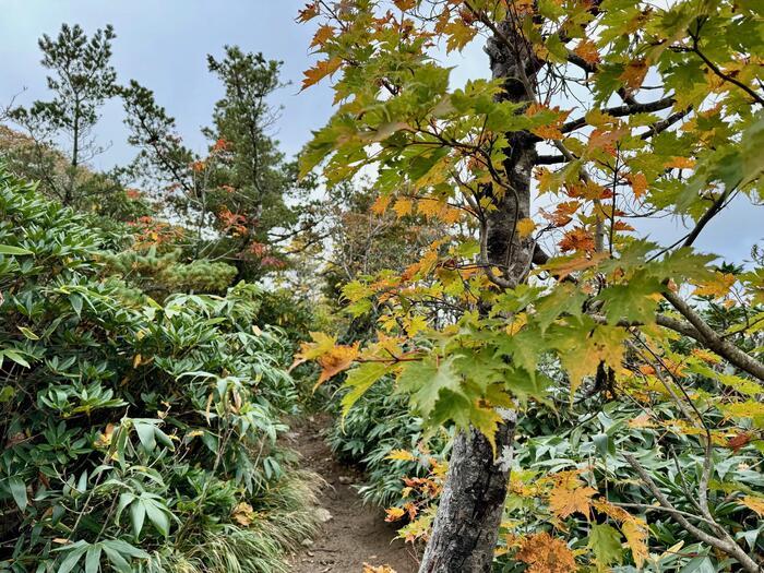 【日本百名山】20座目は紅葉の絨毯を見に安達太良山へ（福島県）