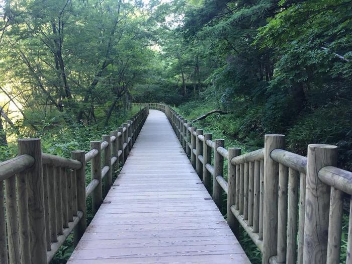 夏の避暑地「上高地」へ行ってきました！