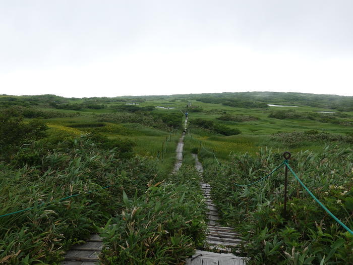 【山形】月山八合目・弥陀ヶ原湿原の歩き方