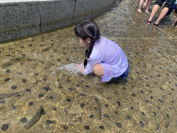 子どもと笛吹川フルーツ公園（山梨）を巡ってみた！ 行き方や園内スポットを紹介