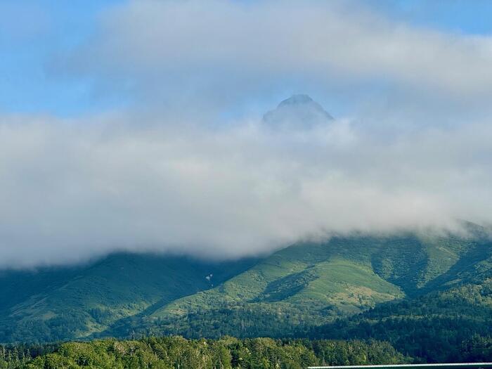 【北海道】稚内からフェリーで利尻島へ！乗船体験記