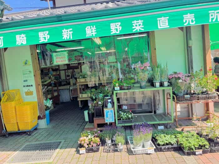 薬草と古い町並み、温泉もある奥大和の小京都・宇陀松山の魅力を紹介します