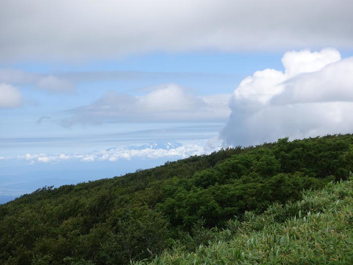 【山形】月山八合目・弥陀ヶ原湿原の歩き方