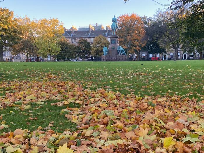 イギリスの季節の花々の織りなす絶景を楽しもう！