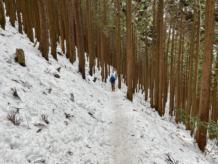 【滋賀】雪山入門編　眺望が素晴らしい綿向山