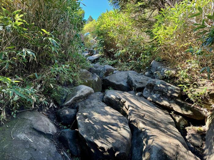 【日本百名山】22座目は西吾妻山...初級者向け？いえいえ結構大変な山でした（山形県・福島県）