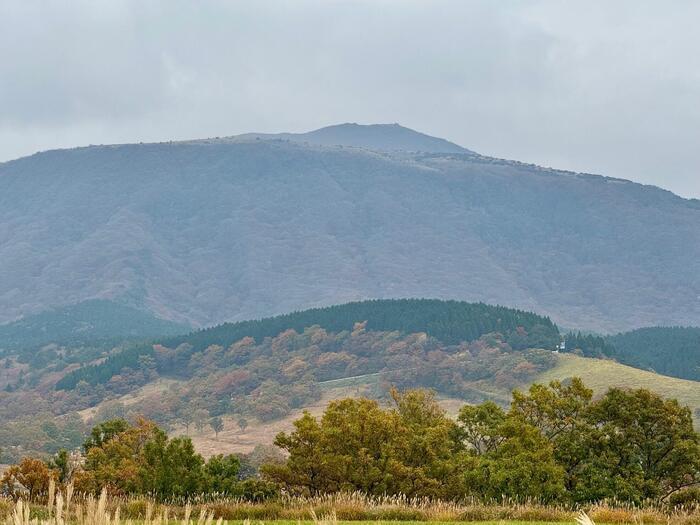 【日本百名山】26座目は摩訶不思議な世界が広がる久住山（大分県）